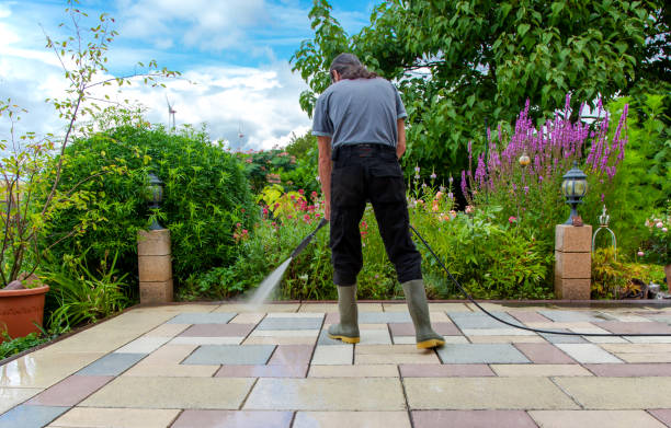 Best Spring Cleaning  in Burnsville, MN